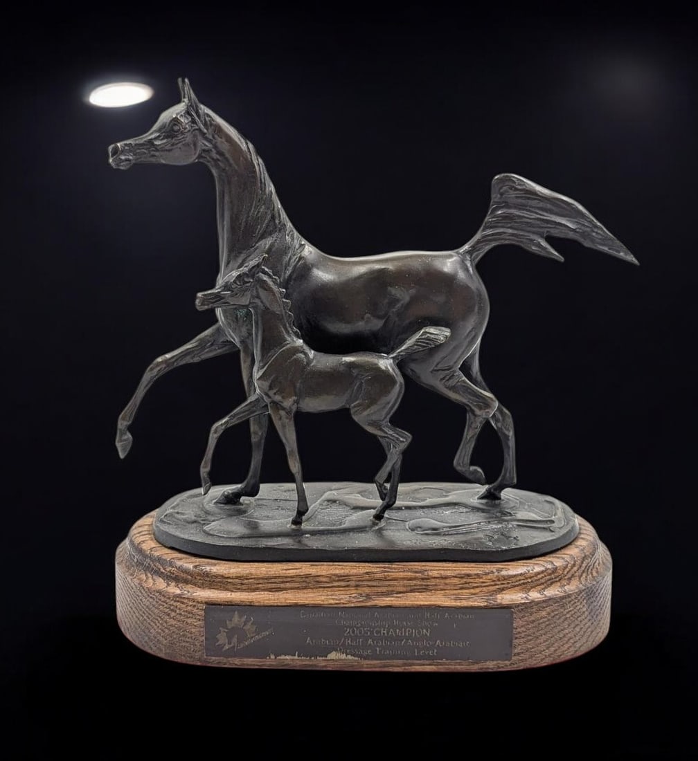 2005 Canadian National Arabian Horse Championship Mother & Mare Bronze Sculpture by Jill Mckinney: 2005 Canadian National Arabian Horse Championship Mother & Mare Bronze Sculpture by Jill Mckinney. Measures approx. 10" X 5" X 11 1/2". Please copy and paste the URL link below to review o
