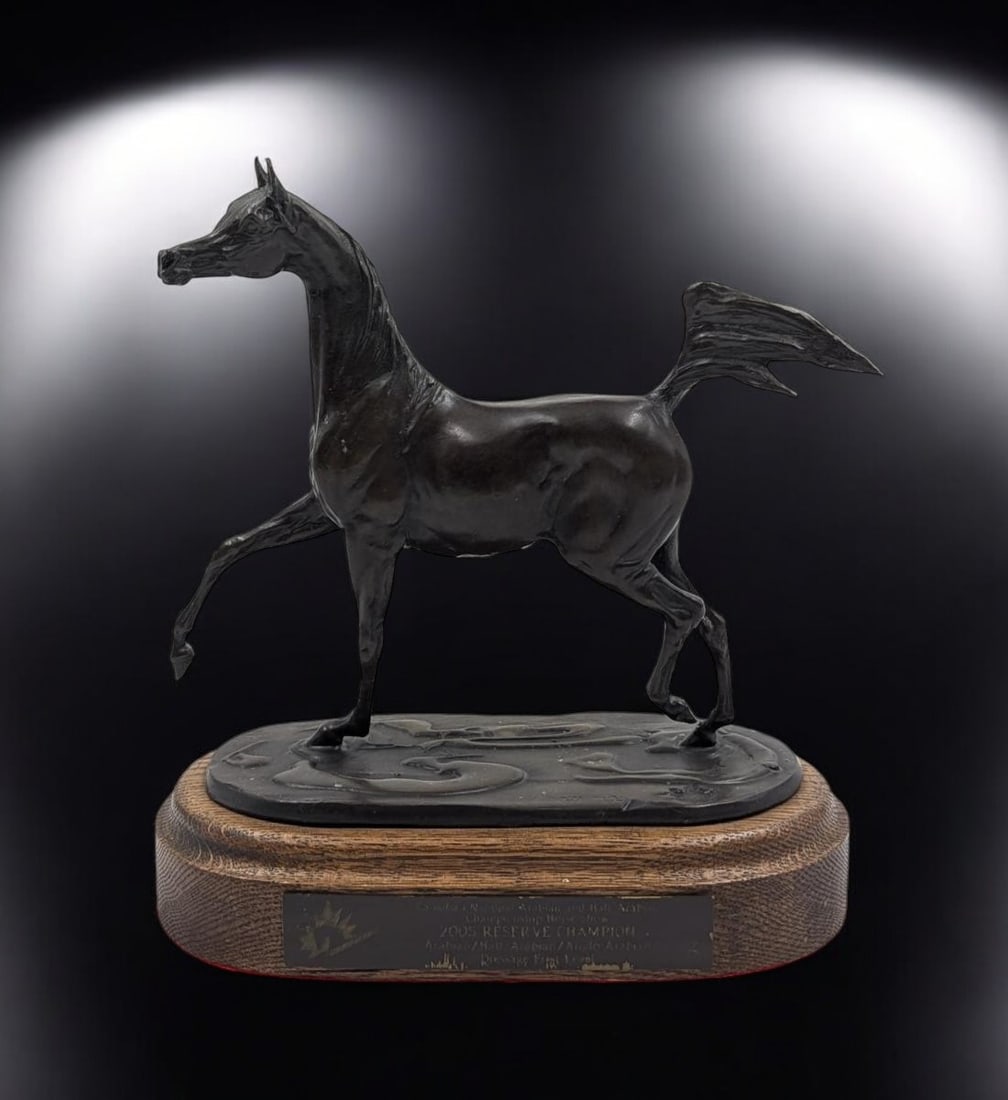 2005 Canadian National Arabian Horse Reserve Championship Bronze Sculpture by Jill Mckinney (1 of 11)