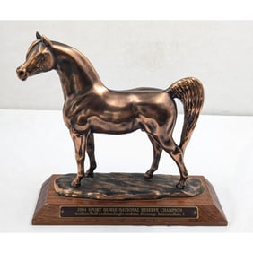 2004 Unsigned Sport Horse National Reserve Champion Trophy