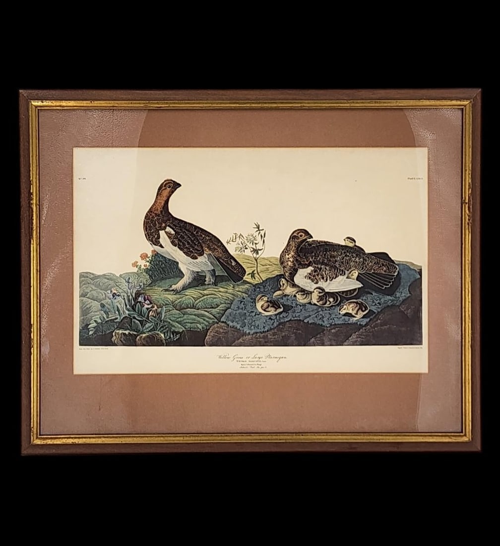 J.J. Audubon (French/American, 1785-1851), Willow Grouse Or Large Ptarmigan, PLATE CXC1, NO. 39. (1 of 15)