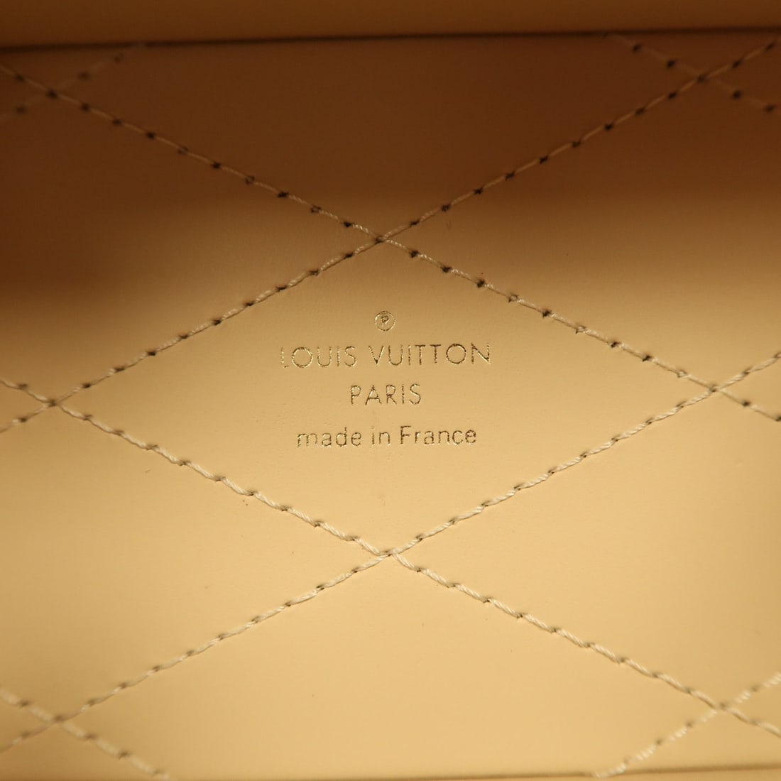Louis Vuitton Monogram Camera Box Bag - 6