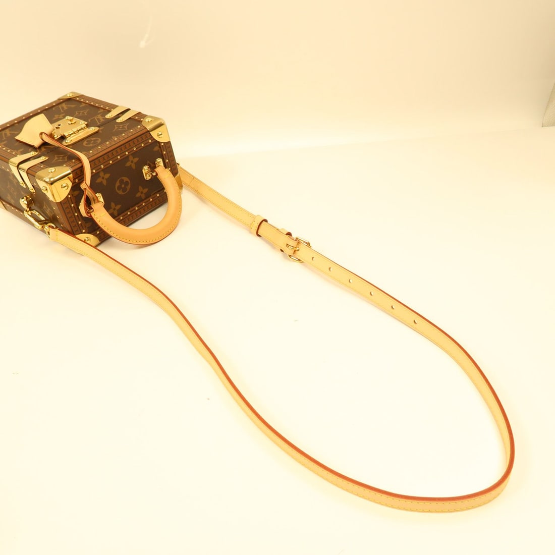Louis Vuitton Monogram Camera Box Bag - 7