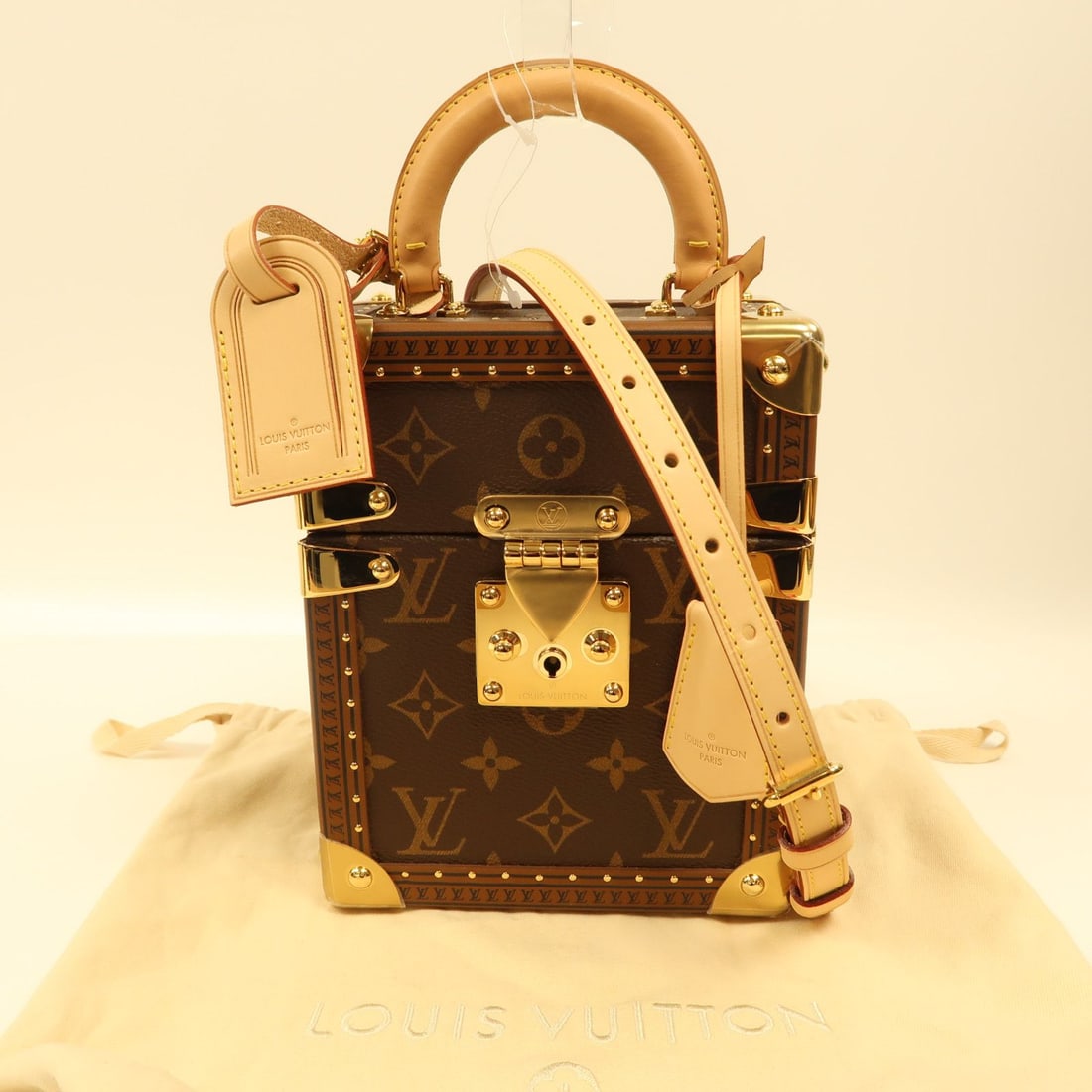 Louis Vuitton Monogram Camera Box Bag - 8