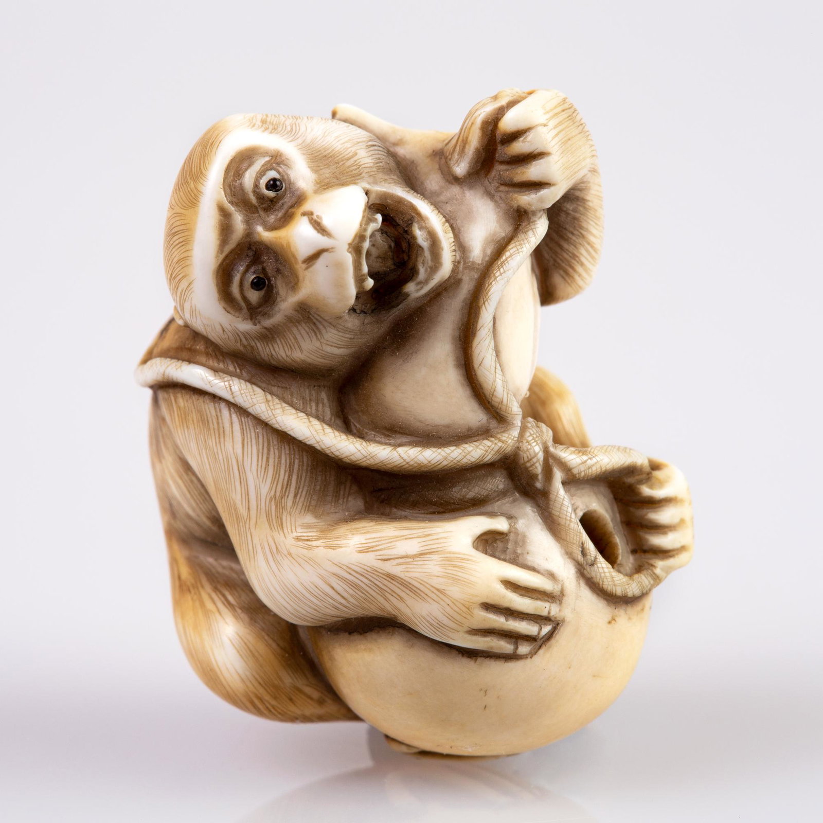 rare antler / bone netsuke by Koumei: Well curved monkey and gourd by Koumei. L 4 cm . W 3 cm [no.24 in 1983.catalog] [Source: from a private collection. Insurance documents are attached to the item, indicating that the item was assessed 