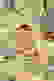 item-88493463=4