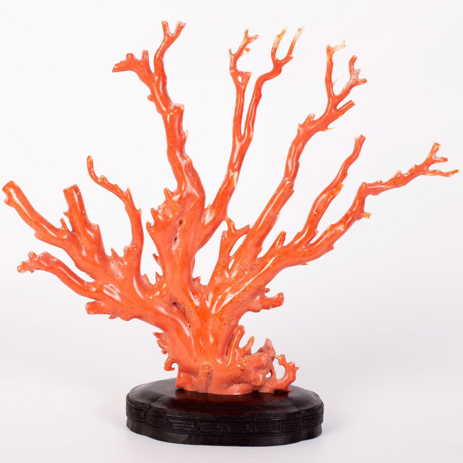 Large red coral branch on a Chinese wooden stand- c1900 (1 of 3)