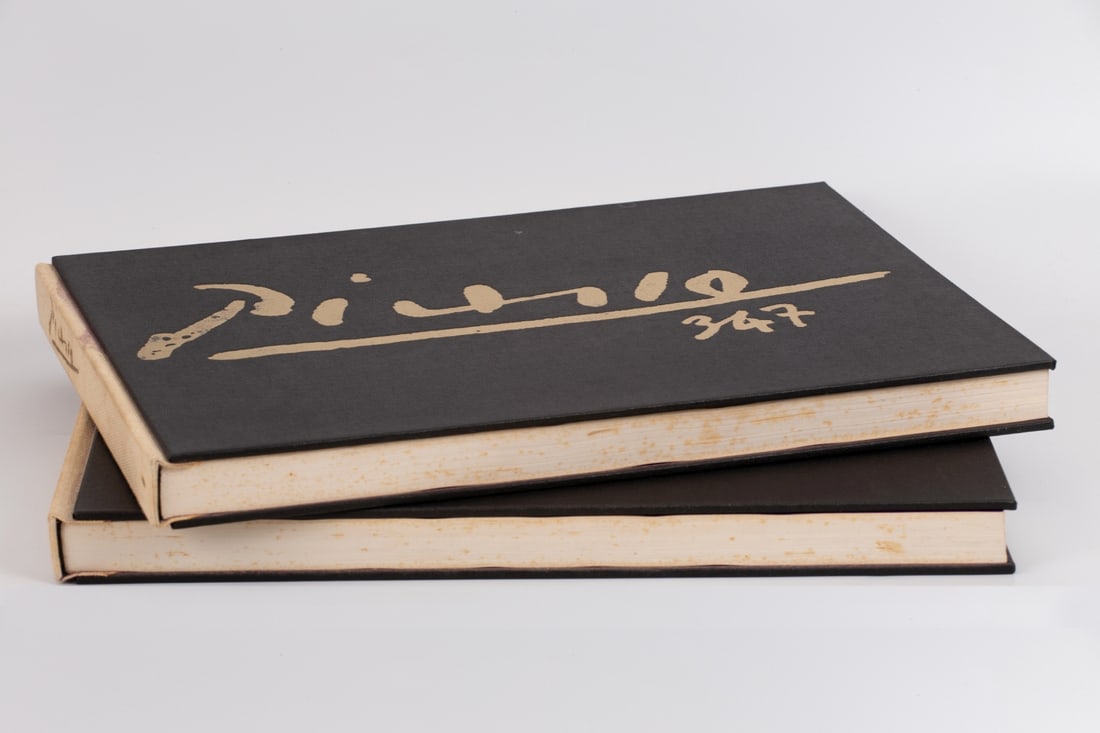 Picasso 347 Album Of Drawings Volumes 1 & 2 (1 of 4)