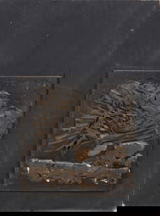 Yigal Tomarkin (1933-2021) "Composition in Black": A multi-dimensional artwork composed of a raised motif on textured black wood panel. The prominent motif has golden hues, adding depth and dimension to the piece. It is signed and measures 40-30 cm.