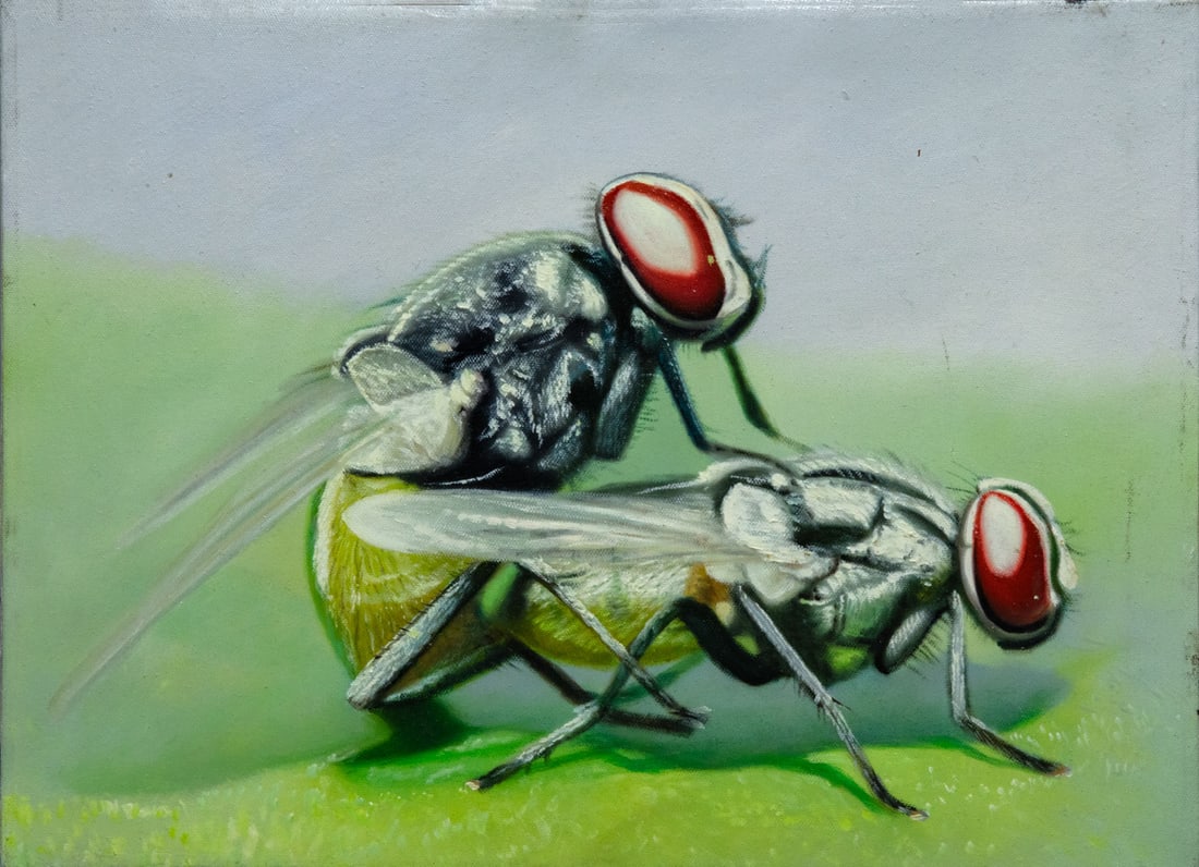 Shay Kun (b. 1974), Flies: Shay Kun (b. 1974), Flies Acrylic on canvas 2011 Signed and dated 2011 (on the reverse). 41 x 30 cm Provenance: