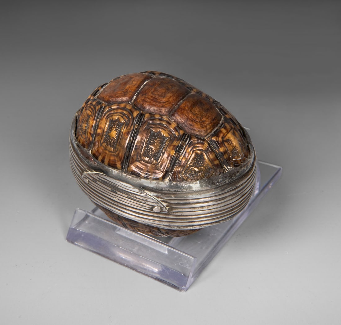 A Unique and Rare Tortoiseshell and Silver Snuff Box, Europe, 18th Century (1 of 4)