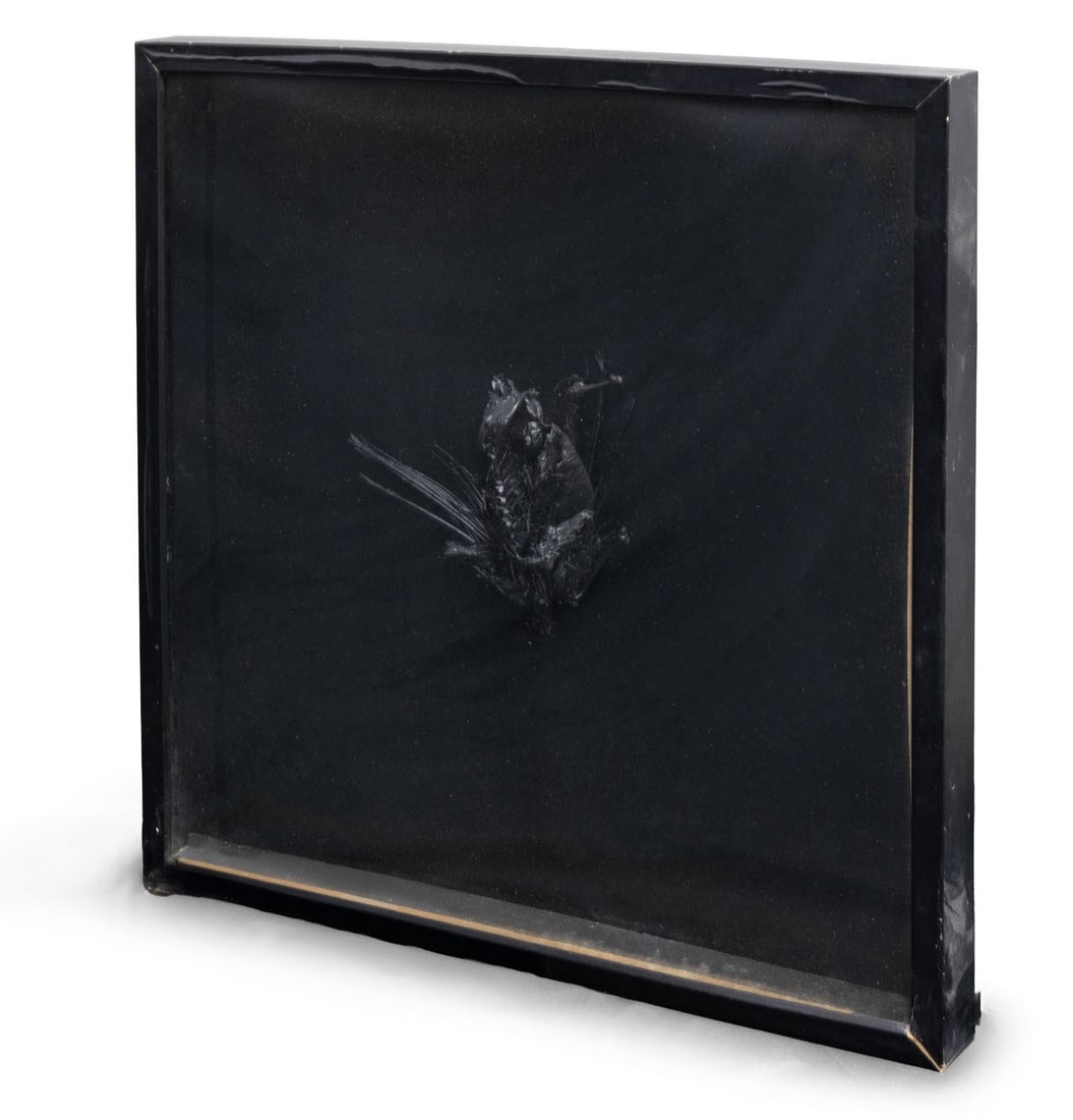Assi Mashulam (born 1975), Untitled (1 of 1)