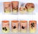 Eight Mt. Washington Burmese Tumblers & Vases