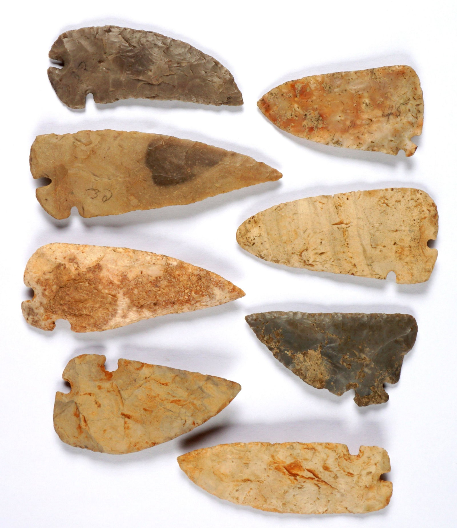 8 Archaic Side Notch Points Clark Co. Ark.: An assembled collection of 8 side notched arrowhead points, 3 identified from Clark County, Arkansas. Longest 4.5" ,shortest 3.5". From a prominent private Kentucky collection.