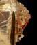 Ernest Leveille French Art Glass Vase ex-Christies - 9