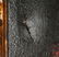 19th Century Old Master Style Still Life Painting - 4