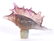 Daum Pate de Verre Seashell Stopper Perfume - 3