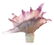 Daum Pate de Verre Seashell Stopper Perfume - 4
