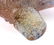 Daum Pate de Verre Seashell Stopper Perfume - 7
