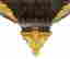 item-129229879=4