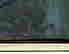 item-133837539=7