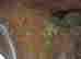 item-133837702=8
