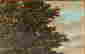 item-133837788=5