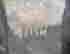 item-133837925=9
