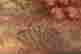 item-137238752=8