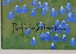 item-148429067=7