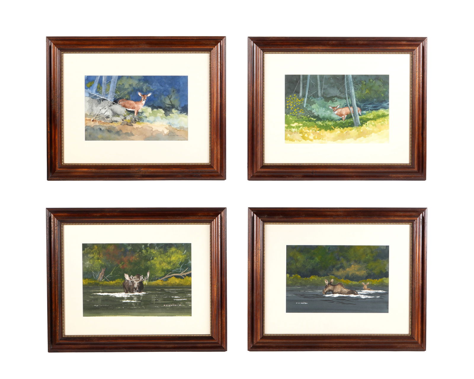 Four J. V. White Maine Watercolors with Animals (1 of 13)