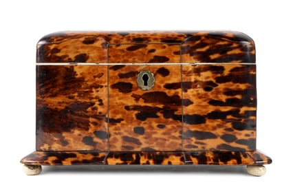 English Regency Tortoiseshell Tea Caddy