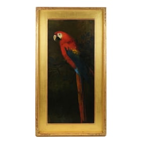 Flemish School Style Painting of a Parrot
