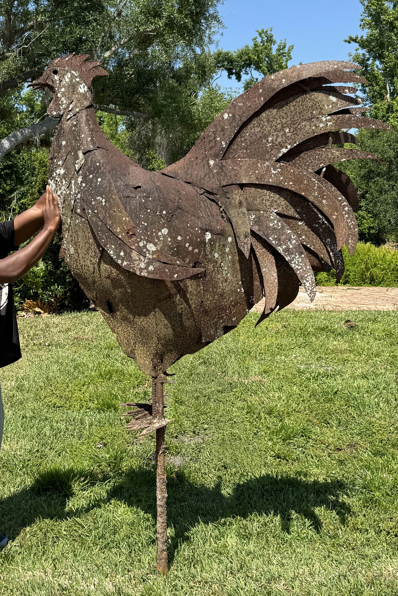 Exceptionally Large Iron Garden Rooster Sculpture: Welded iron panels and wrought iron figure of a rooster, overall approx. 91" h. including pegs below feet x 52" x 21. Condition: Rust, one foot broken off, we have the foot, obvious signs of weather.