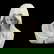 item-178052973=1