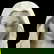 item-178052973=7