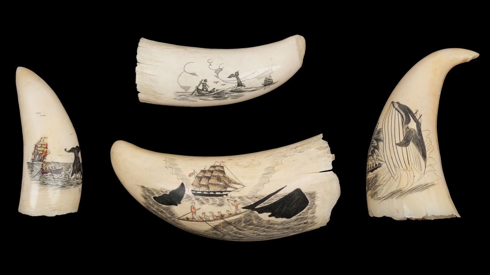 4 Scrimshaw Whales Teeth Depicting Whaling Scenes: An assembled collection of four pieces total to include 1) Polychrome clipper ship, whaling boat and sperm whale, signed Othon, 5.5" long. 2) Clippers ship, whaling boat, breaching whale, signed VL, 4