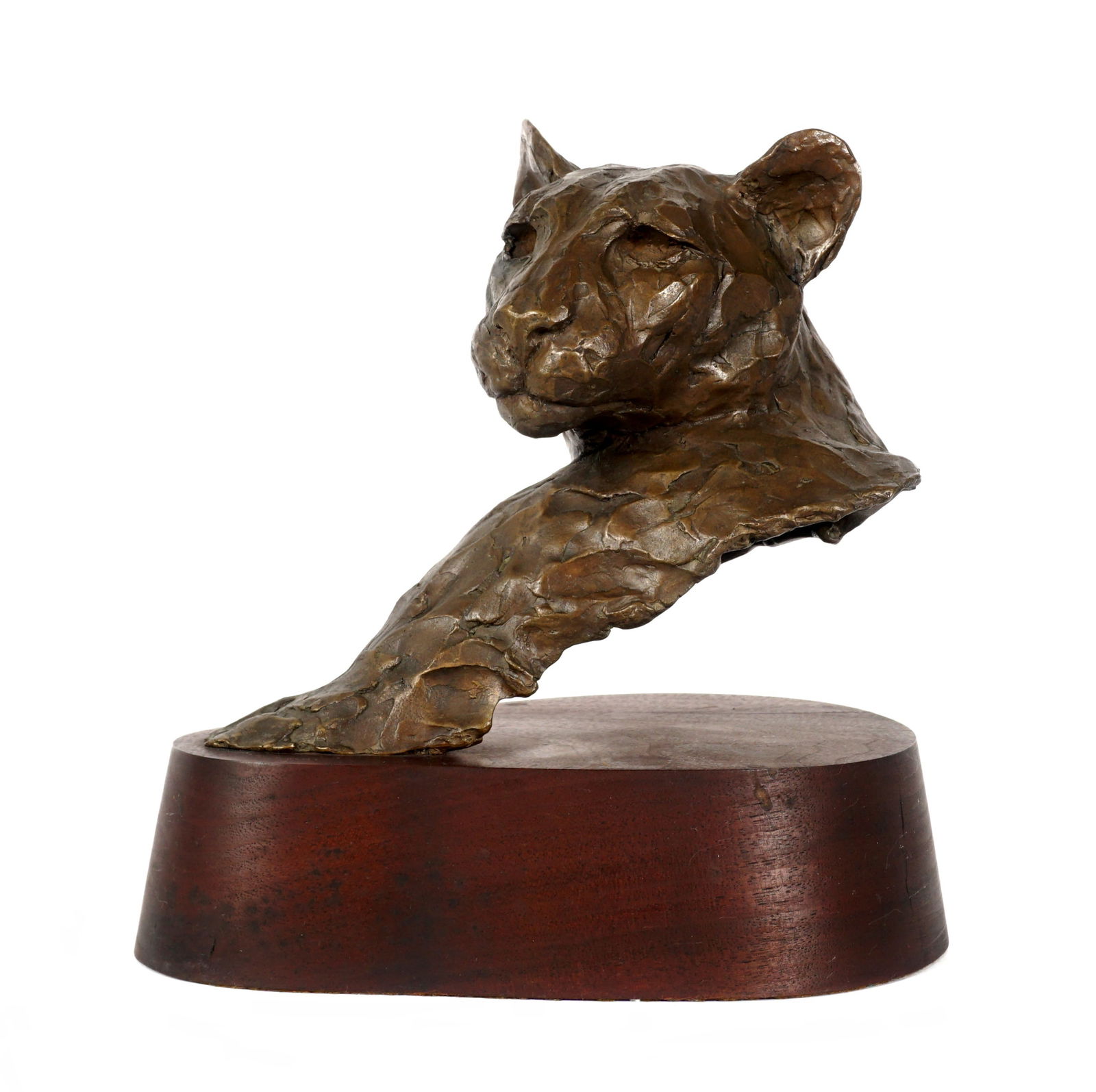 Melvin Johanson Bronze Mountain Lion Bust (1 of 11)