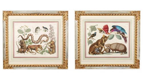 Pair after Albertus Seba Multi Animal Engravings