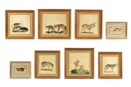 8 Robert Kretschmer Watercolor Studies of Animals