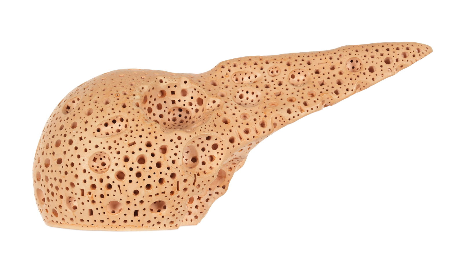 Alexander Ney Bird Head Terracotta Sculpture (1 of 10)