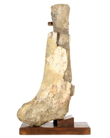 Large Fossil Dinosaur Femur with Stand