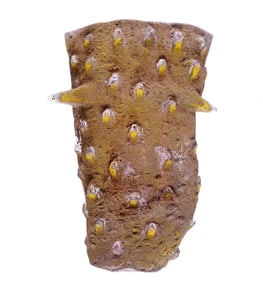 Koen Vanderstukken Art Glass Sculpture