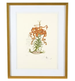 Salvador Dali Tiger Lilies Lithograph / Engraving