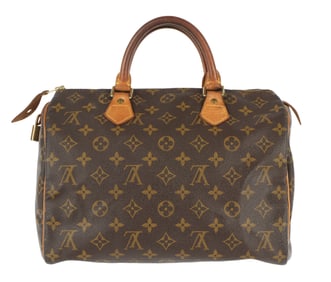 Louis Vuitton Speedy Brown Canvas Monogram Hand Bag
