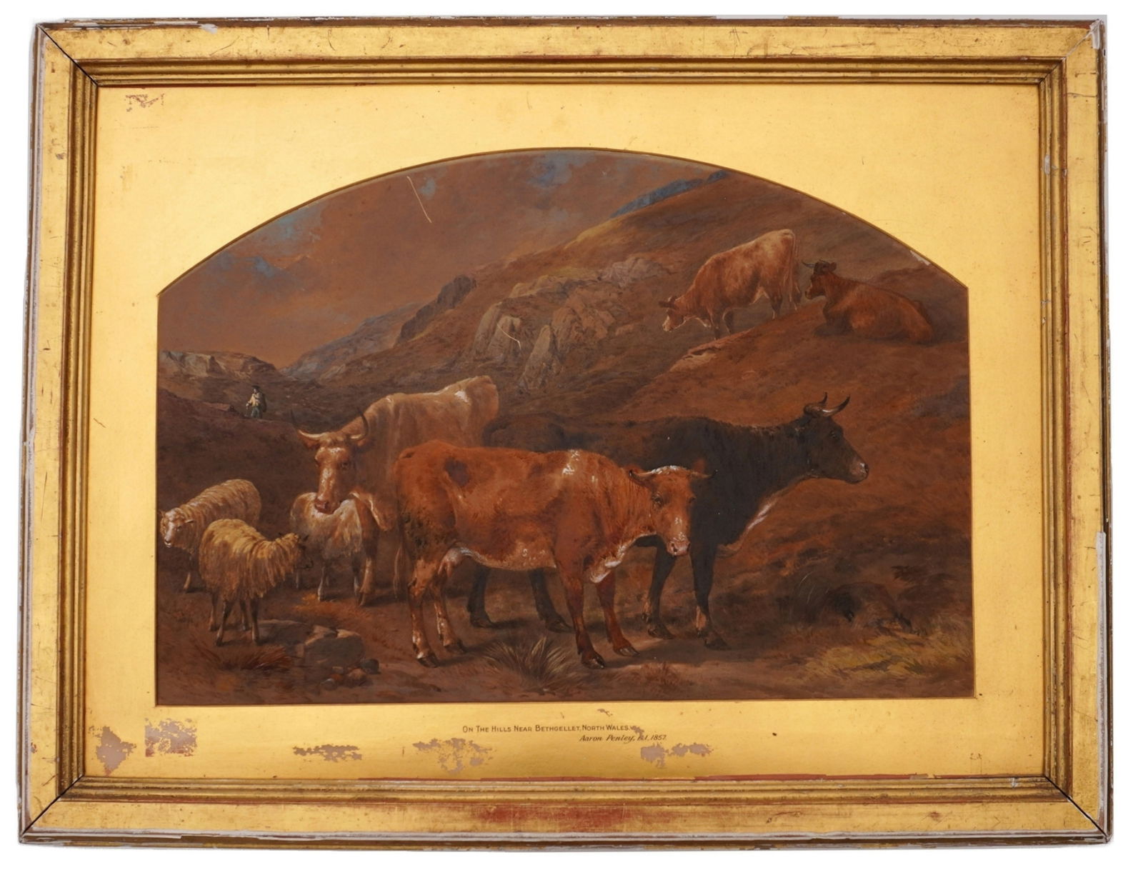 Aaron Penley Landscape with Cows Watercolor: PENLEY, Aaron Edwin, (British, 1806-1870): "On the Hills near Bethgellet, North Wales", mountainous landscape with cows, Watercolor on Paper, no signature, title, and date obscured by mat, sight size