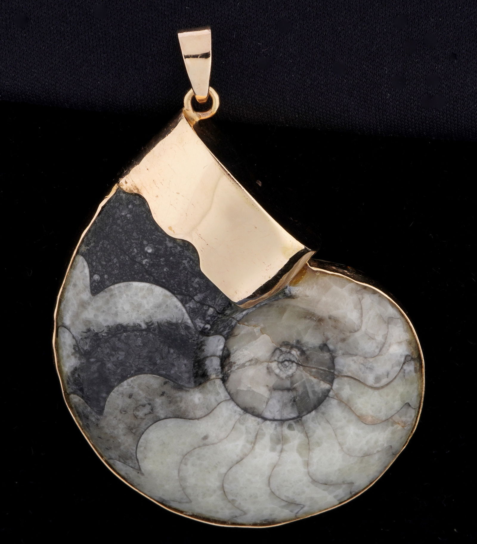 14k Gold framed Ammonite Fossil Pendant: Ammonite fossil framed and mounted in 14k yellow gold, well marked, overall 1.75" x 2.25".