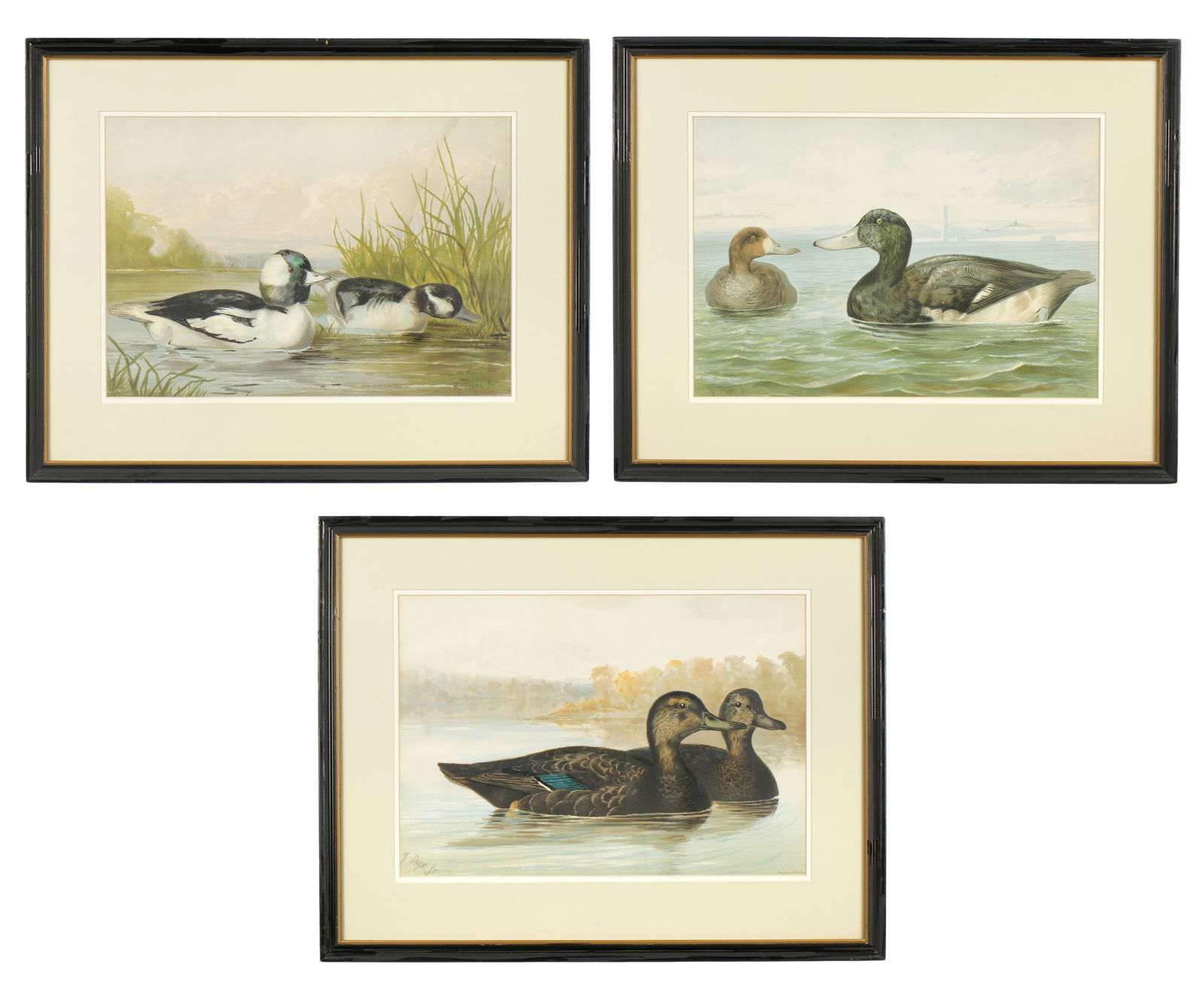 Three Alexander Pope Jr Duck Chromolithographs (1 of 2)