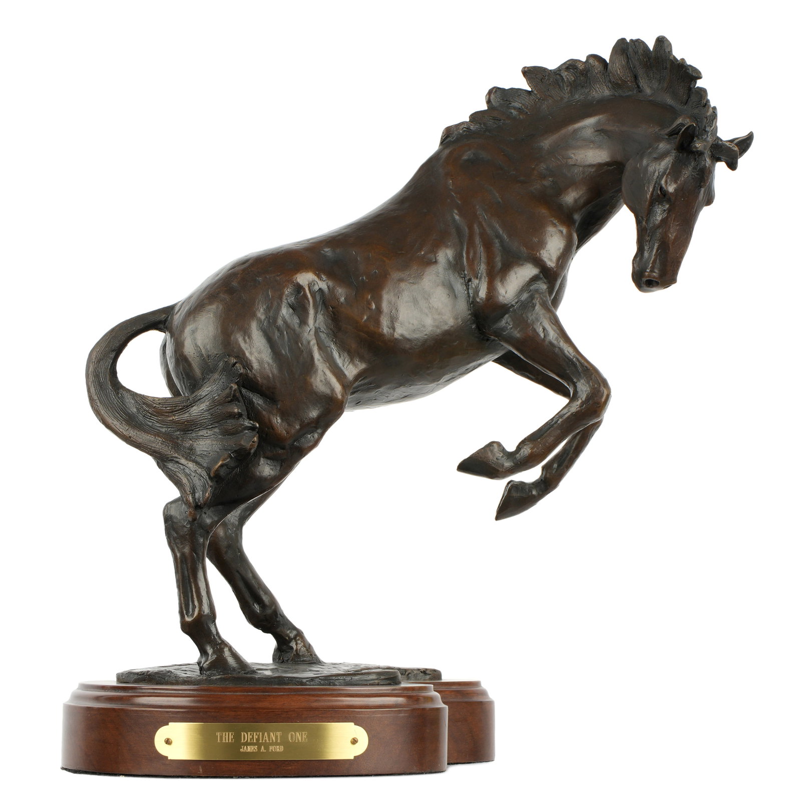 James A. Ford The Defiant One Bronze Sculpture (1 of 7)