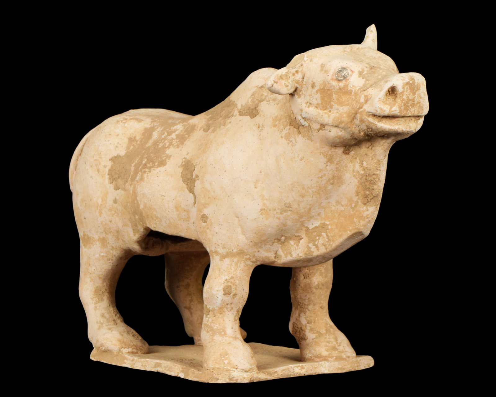 Chinese Sui-Tang Dynasty Terracotta Pottery Bull: China, Late Sui - Early Tang Dynasty, 580 - 906 AD pottery figure of a standing bull, overall 7.5" h. x 10.5" x 4.25". Provenance: Private Collection in Sarasota, purchased Arte Primivito auction.