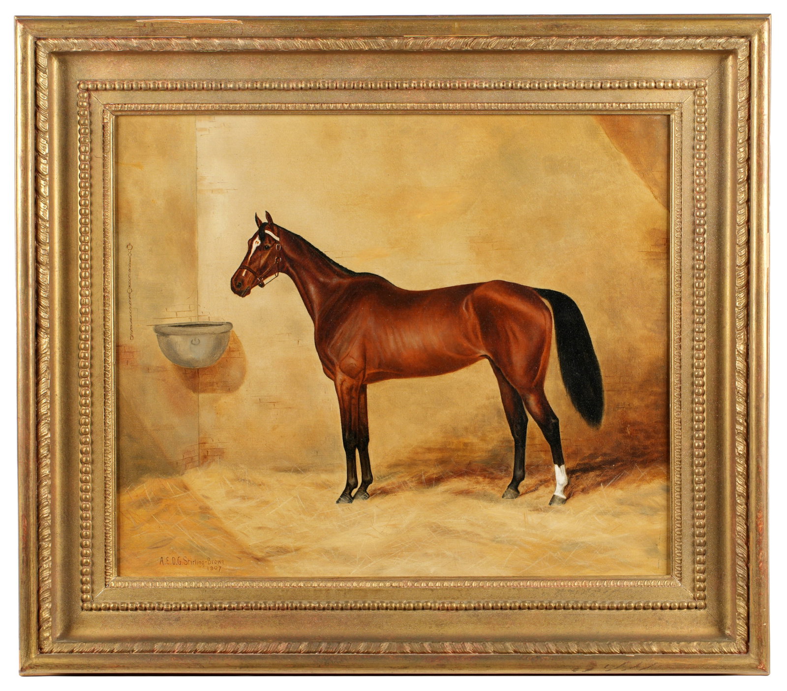1907 Albert Sterling-Brown Portrait of Race Horse: STERLING-BROWN, Albert Edward D G, (English, active 1896-1929): Portrait of an unidentified race horse in a stall, Oil on Canvas, signed and dated 1907 lower left, 20" x 24", framed 27.75" x 31.75". C